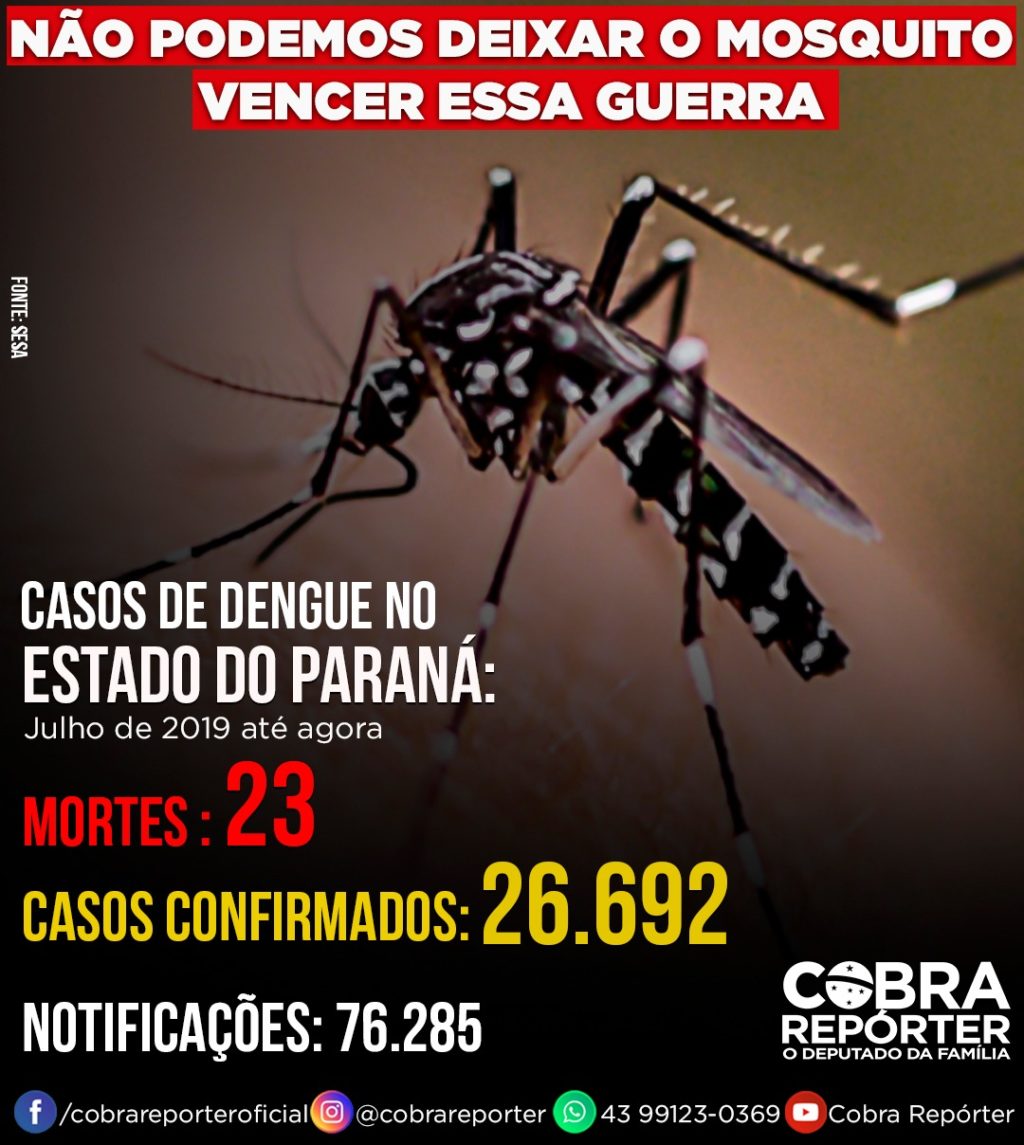 Deputado Cobra Repórter Destaca Os Números Alarmantes Da Dengue No Paraná Deputado Estadual 